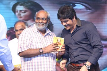 Dikkulu Choodaku Ramayya Movie Audio Launch